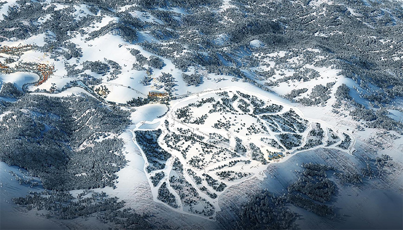 山东黄金